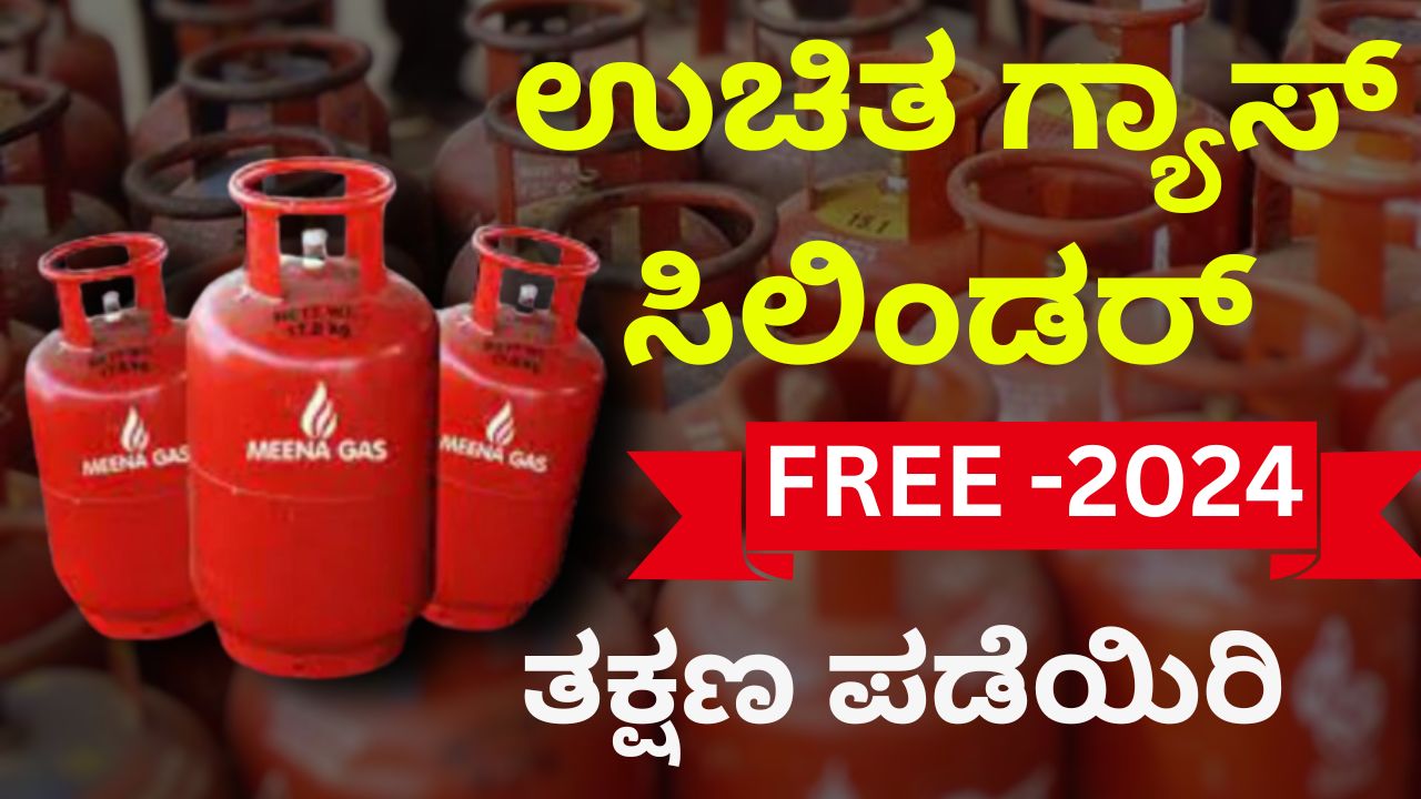 Apply and get 2 free gas cylinders instantly