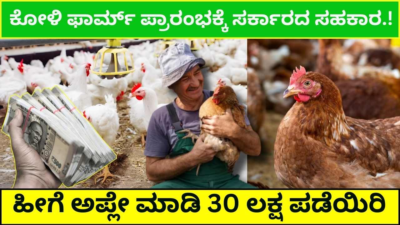 Subsidy for Poultry Farm Startup