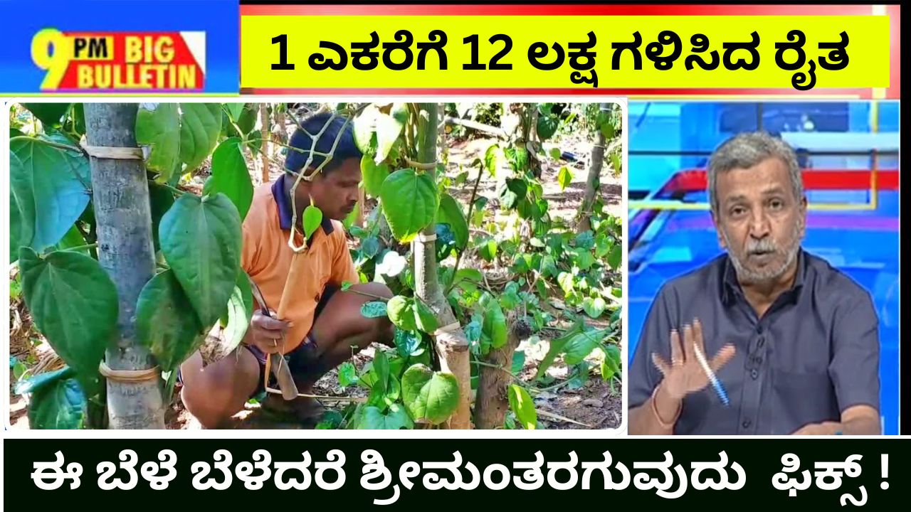 A farmer who earned 12 lakhs per acre